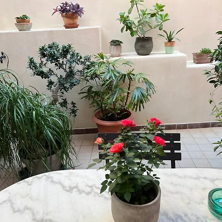 Joli A Monaco Beausoleil